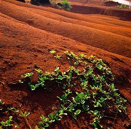 DNF衍生类魂新游《第一狂战士：卡赞》发布战斗演示